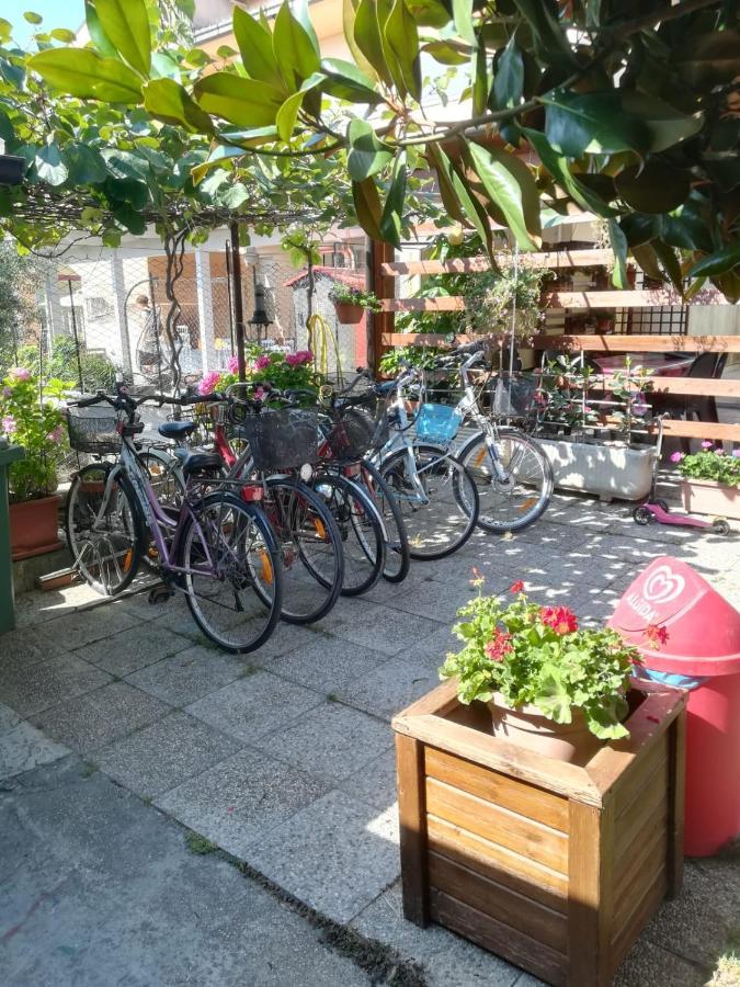 Le Magnolie B&B Roseto Degli Abruzzi Exteriér fotografie
